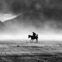 七夕,我们结婚了!七对情侣超甜的爱情故事(