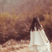 团支部工作总结