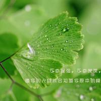 禅心，什么是禅？