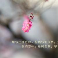 浅夏清喜，独守一份静谧