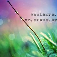 周立波经典语录 鲜花往往不属于赏花的人，而属于牛粪