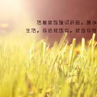 你只是输给了自己的不妥协