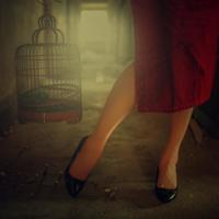 老虎怕“屋漏”