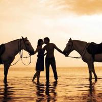 乡村爱情语录 刘能经典语录