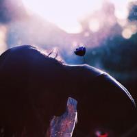 名人经典语录感悟人生 应该笑着面对生活,不管一切如何