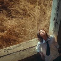 在烟雨红尘，唱一首梦醉的歌谣