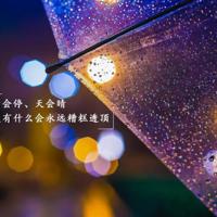 梦境的美好，现实的残酷