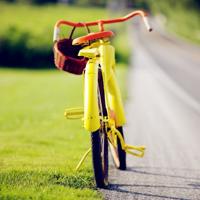 职场婚姻只有关系没有亲密？