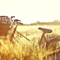 善良,开在心上的一朵花散文欣赏