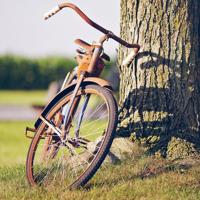 良好行为习惯养成的六个原则