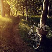 痛苦与幸福的距离