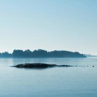 人生感悟:放弃也是一种快乐