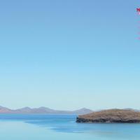 没人知道我爱他