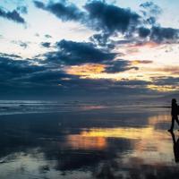 不能向爱人借的能力