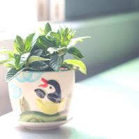 古韵美文摘抄赏析