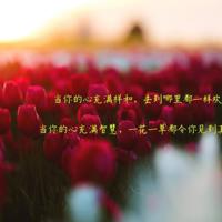 感谢一路有你的陪伴