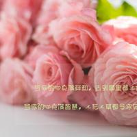 那一碗幸福的软饭