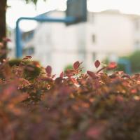 七月未央,我在路上