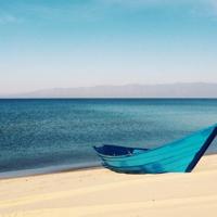 晚遇情深，奈何缘浅