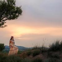 对不起我爱你的故事