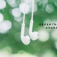 为谁辛苦为谁甜