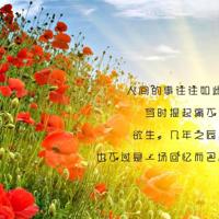 意境唯美的童话小屋图片_梦幻般的意境