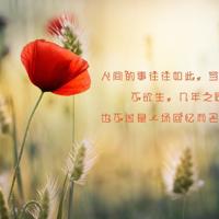 他到哪里鬼混去?