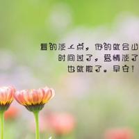 【博客自传】女儿长镜