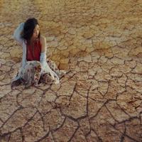 六月间雨荷莲花别样美