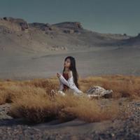 优质男人与优雅女人（组诗）