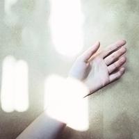 莫言作品中的经典语录