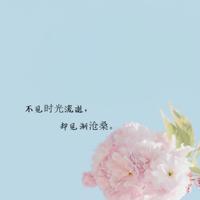 唯美的爱情故事:拥有一片阳光