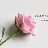 如果婚姻很难,那我选择有钱