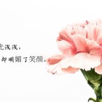 枫株湖畔的绿色之梦