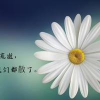 迷狸鬼故事之快来救救我