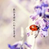 搞笑的生活囧事