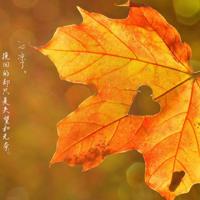 暗恋是一种寂静的幸福