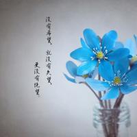 光阴已远去，捡起零碎的记忆