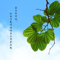 我们和我们的信仰