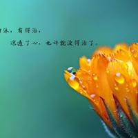 千万别被美丽耽误了