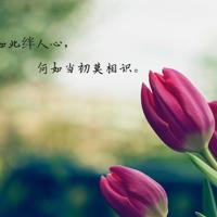 口述：我与女秘书的一夜性