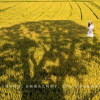 我只能像现在这样,不吵不闹,不悲不喜,安安静静的与你,再无交集