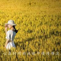 唯美风景带字意境图片_迷人的自然美景