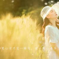 教师个人工作总结