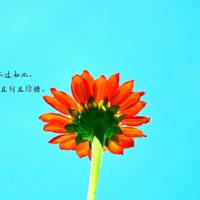 92岁的老太太上舞台,现场自述年轻时嫁到中国的故事,感动了