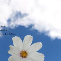 你储存的不是男人，是寂寞