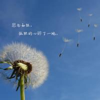 喜欢就在一起，别辜负了相遇