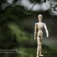 让自己活得更宁静