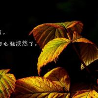 幸福就在平平淡淡的生活里