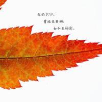 突然，我就想结婚了……